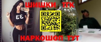прущие крисы Магадан